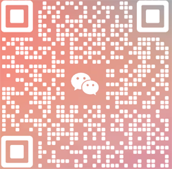 the qr code